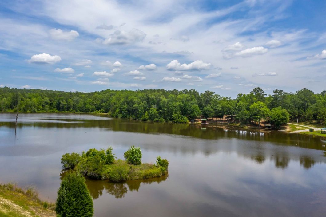 Little Hichitee Creek Tract Best hunting land and lake properties